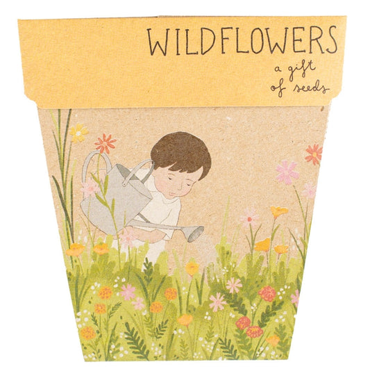 Gift shop Wildflowers seed card