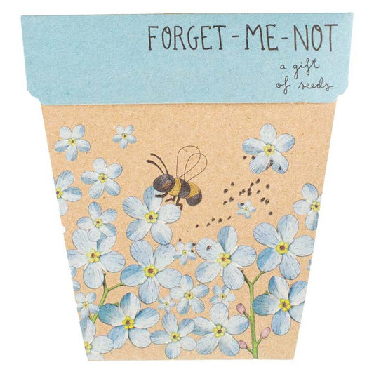 Gift shop Forget me not seed card