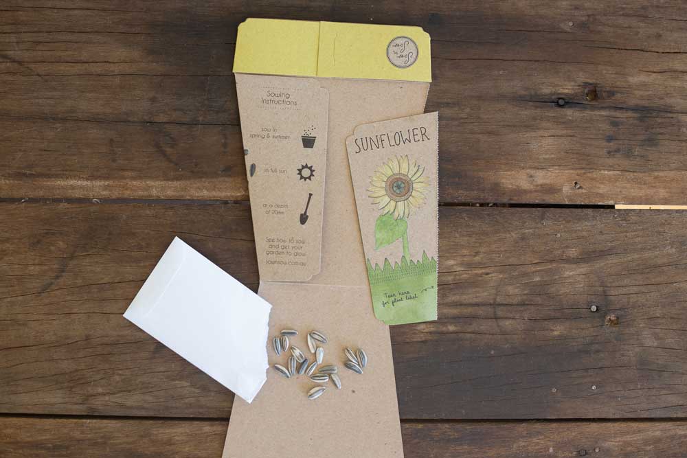 Gift shop Sunflower seed card