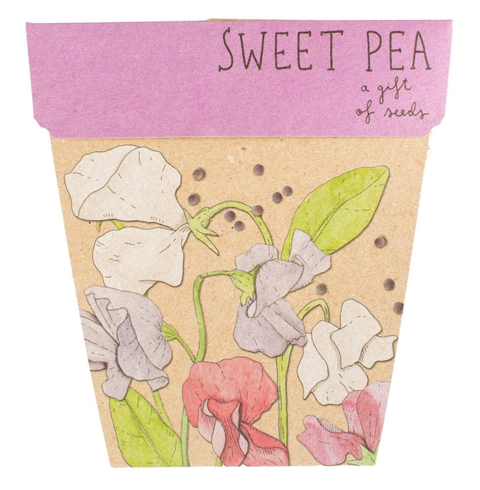 Gift shop Sweer Pea seed card