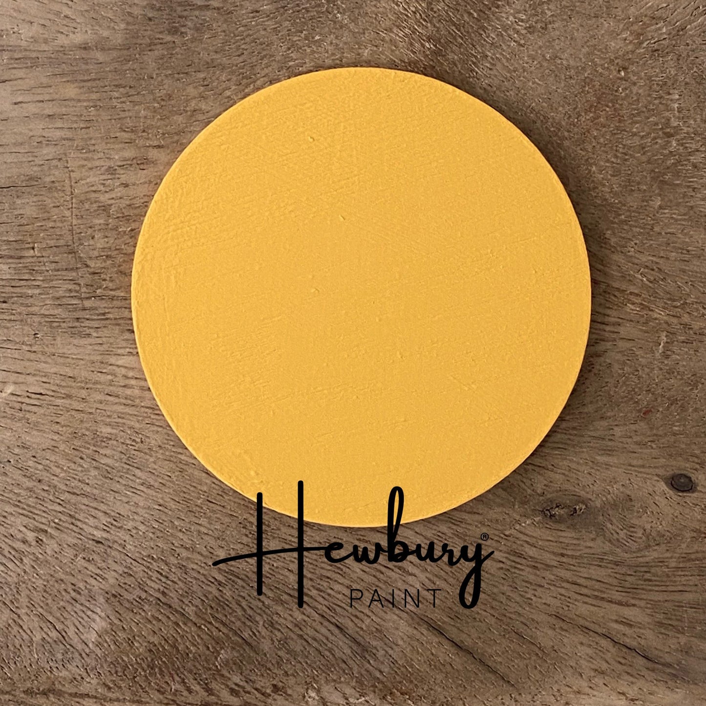 Hewbury Paint Bumble Bee