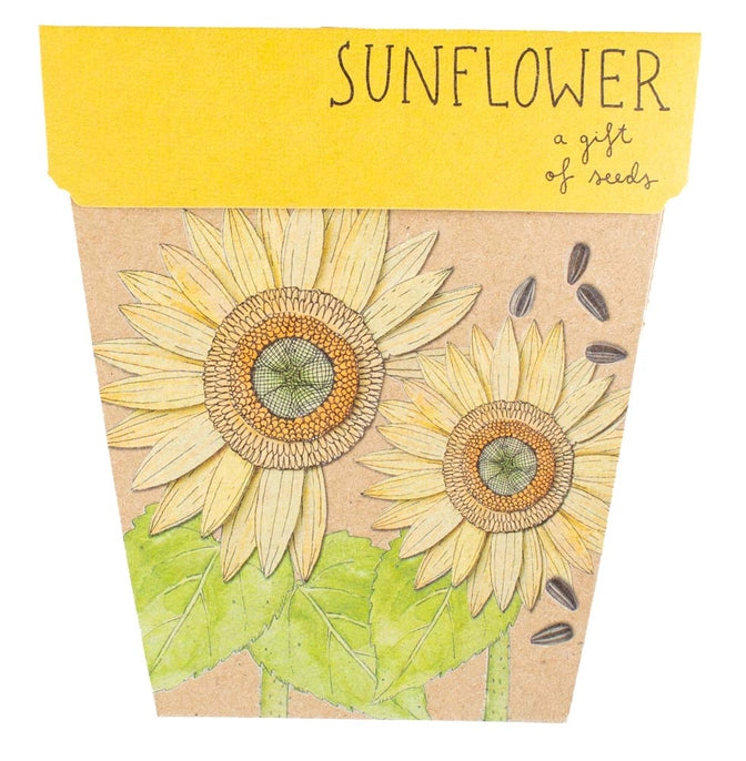 Gift shop Sunflower seed card