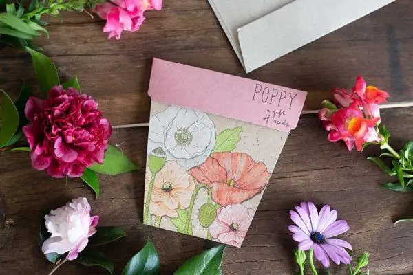 Gift shop Poppy seed card