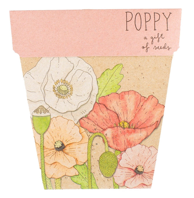 Gift shop Poppy seed card