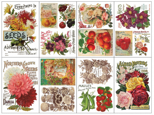 Iron Orchid Designs Transfers Seed Catalogue