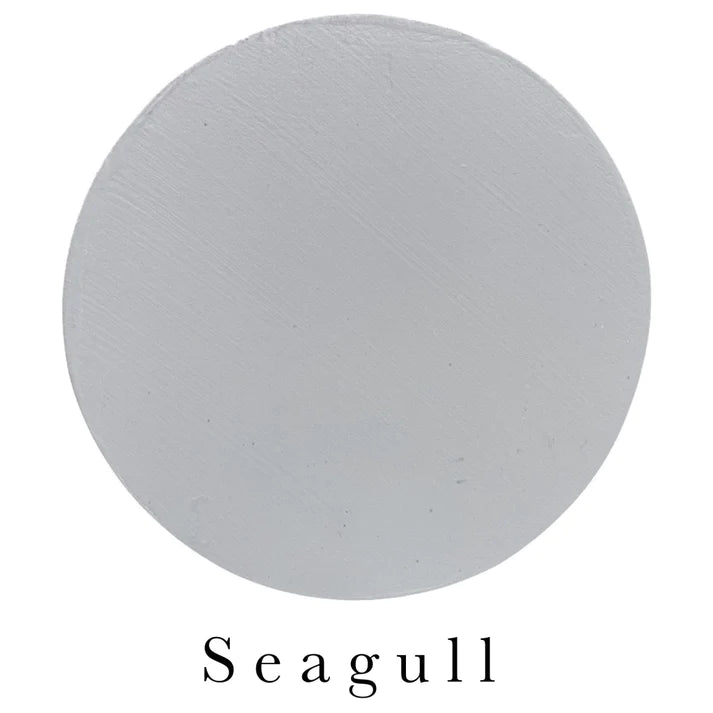Hewbury Paint Seagull