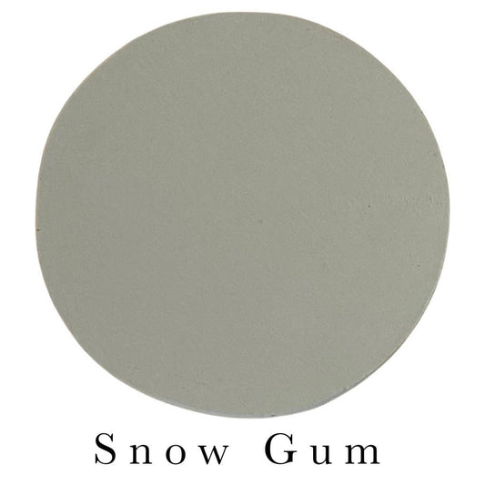 Hewbury Paint Snowgum
